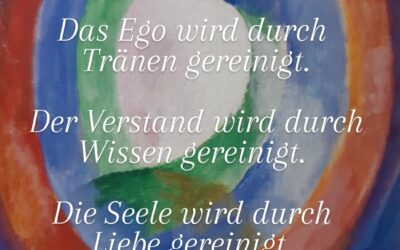 Reinigung