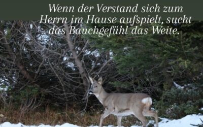 Wenn der Verstand…